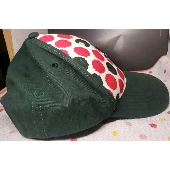 Fort Wayne TinCaps Youth MiLB OC Sports Strapback Adjustable Baseball Hat Multi - Picture 4 of 8